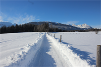 KW05 - Winterliche Wanderwege