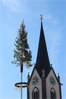 KW18 - Maibaum der Landjugend vor der Basilika